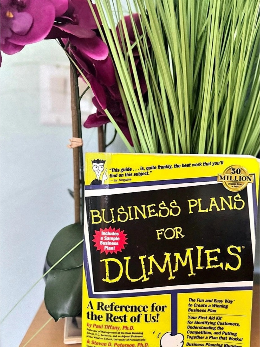 For Dummies Business Plans For Dummies Business Reference Book